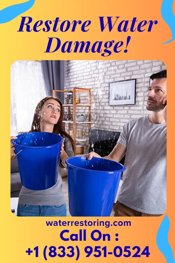 water restoration Elite Storm Recovery Inc Lee Mont