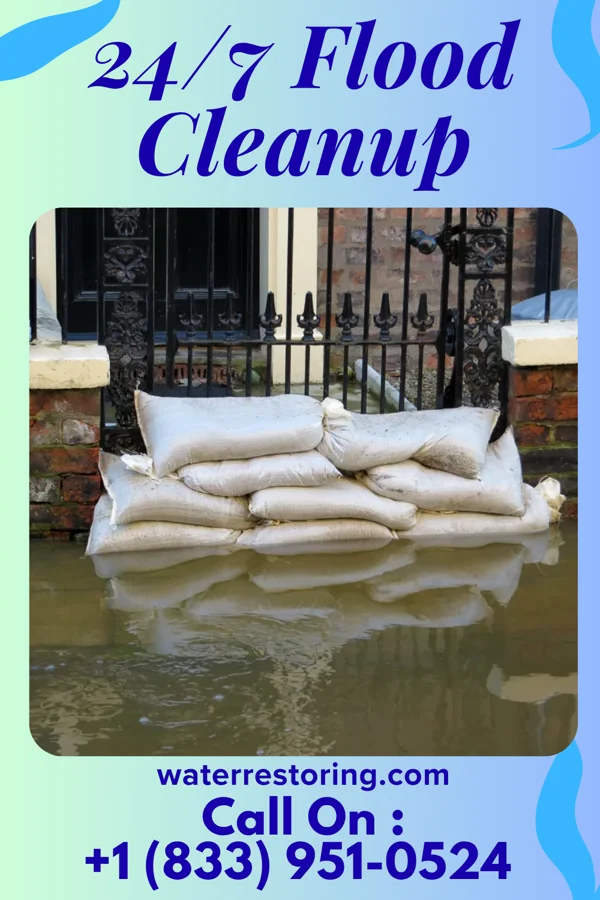 24/7 Flood Cleanup in Lee Mont, VA