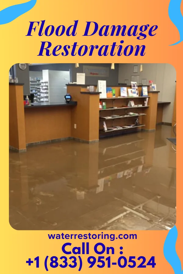 Flood Damage Restoration in Lee Mont, VA
