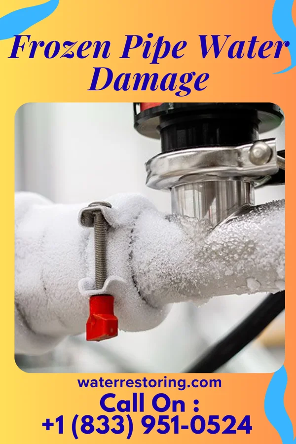Frozen Pipe Water Damage in Lee Mont, VA