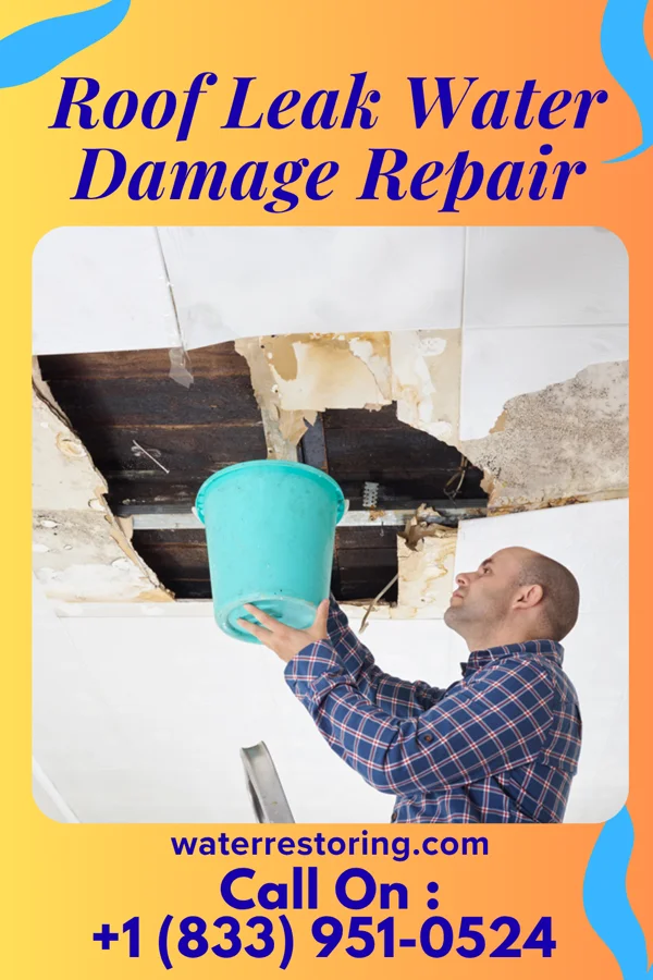 Roof Leak Water Damage Repair in Lee Mont, VA