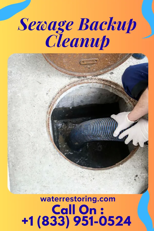Sewage Backup Cleanup in Lee Mont, VA